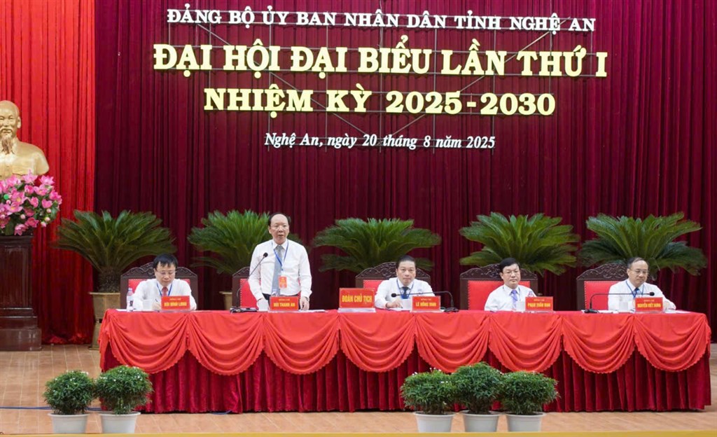 dct%201.jpg